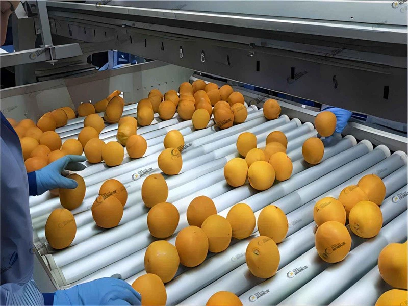 productcate-800-600 productcate-800-600